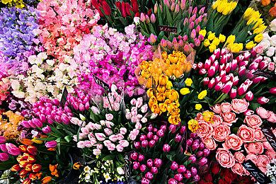 《匹诺曹的谎言》意外移除D加密 都是临时工的错！